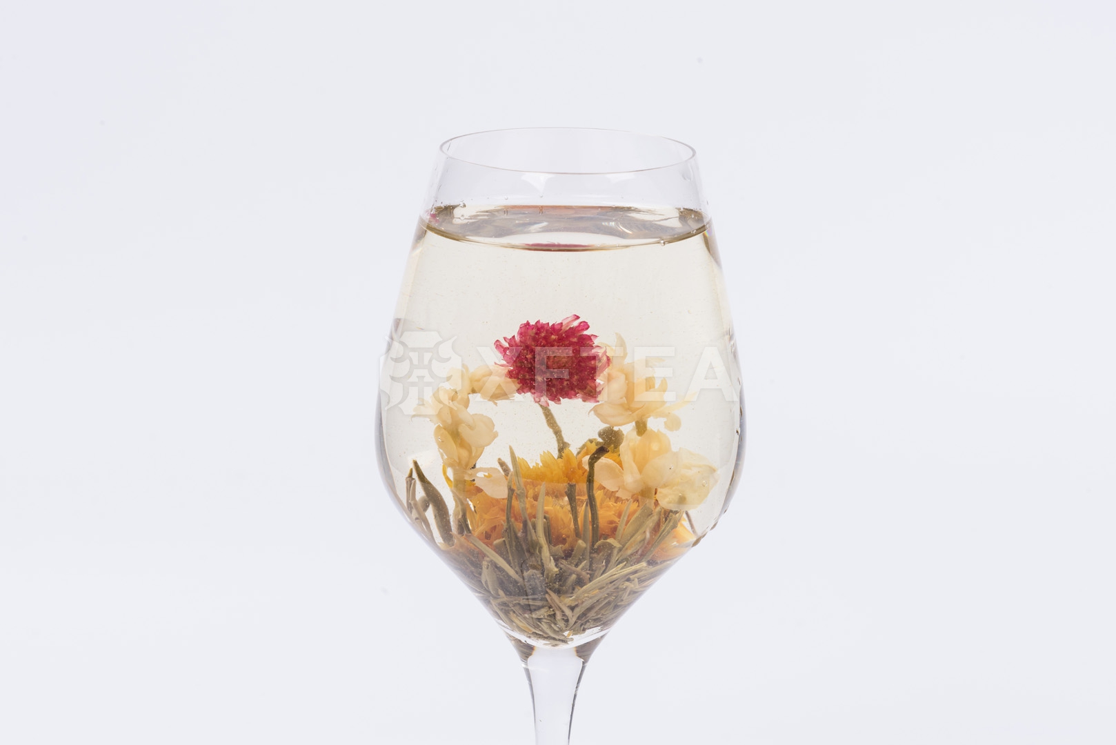 Blooming Tea Shuang Long Xi Zhu